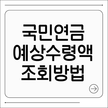국민연금 예상수령액