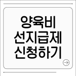 양육비 선지급제 신청