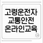 고령운전자 교통안전교육