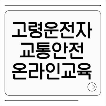 고령운전자 교통안전교육