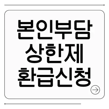 본인부담상한제 환급