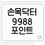 손목닥터9988 포인트