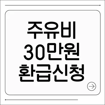 주유비 30만원 환급