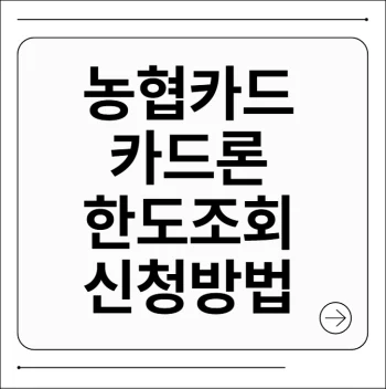 농협카드 카드론 한도