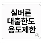 실버론 대출한도 및 용도 제한