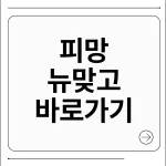 피망 뉴맞고 바로가기